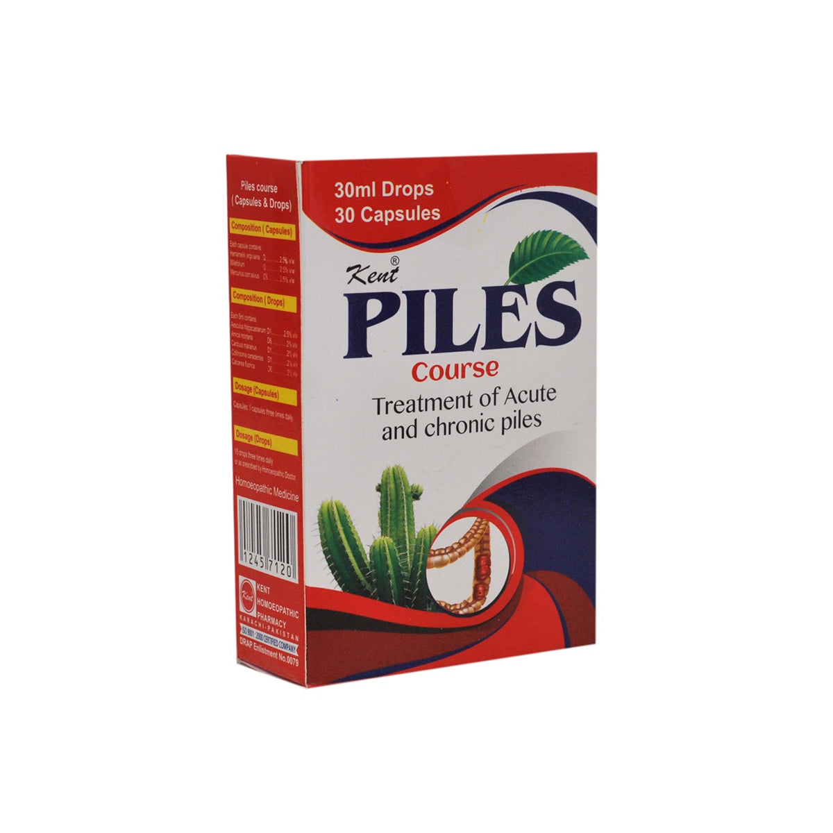 Piles course